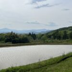 IMG_8730