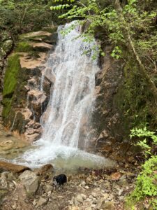 IMG_8745